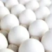 Egg samples in Srinagar found safe, meet food safety standards: Officials