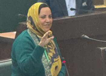 “Will Revoke PSA, Get Back Jailed Youth Soon After J&K Re-Gains Statehood”: Sakina Itoo in Assembly