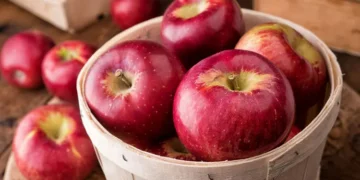 Import of New Zealand apple having minimal impact on J&K’ domestic industry; govt assures support to growers
