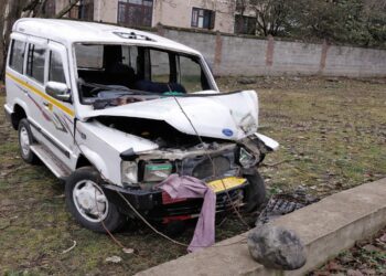 Nine Hurt as Vehicle Crashes into Tree in South Kashmir’s Tral, Four Referred to Srinagar