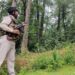 J&K Police moving to dense forests, mountains to neutralise terrorists: DGP Prabhat